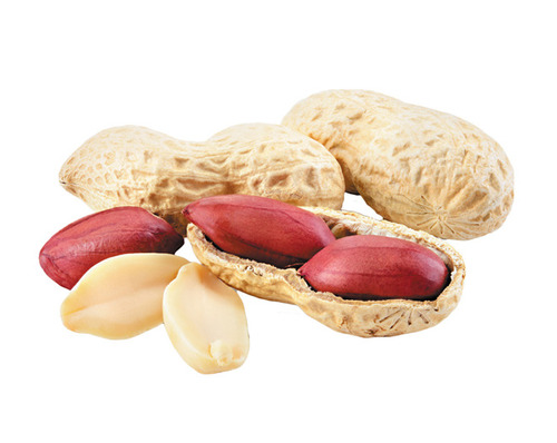 Dried Peanuts