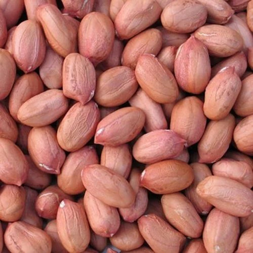 Ground Nuts