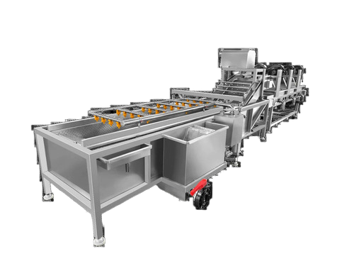 Pineapple Processing Plant