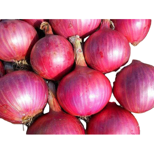 Nashik Red Onion - Cultivation Type: Organic