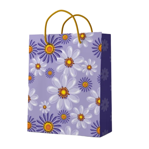 Carton Bags