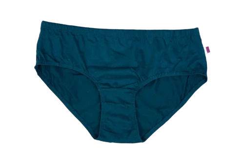 Women Hipster Panties Xl & Xxl-12 Colors