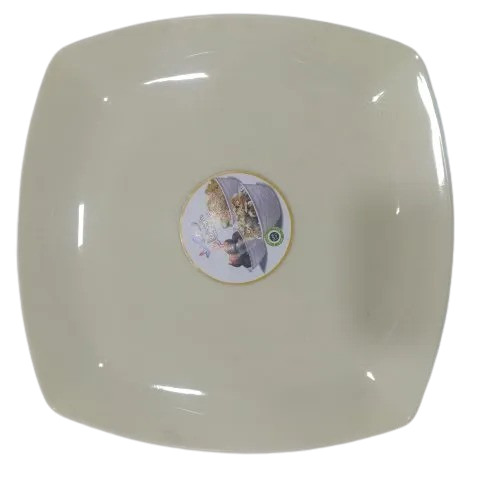 Plastic Plate 12 Inch - Color: White