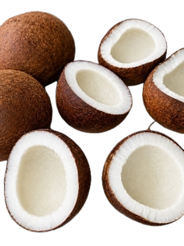 Copra or Dry Coconut