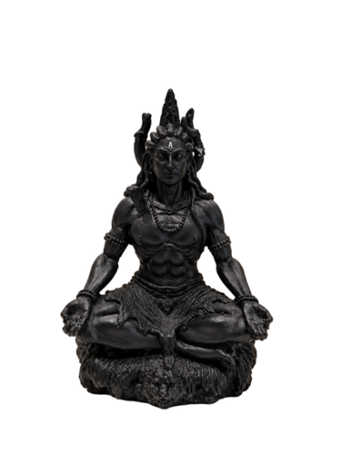 God Shiv Idols