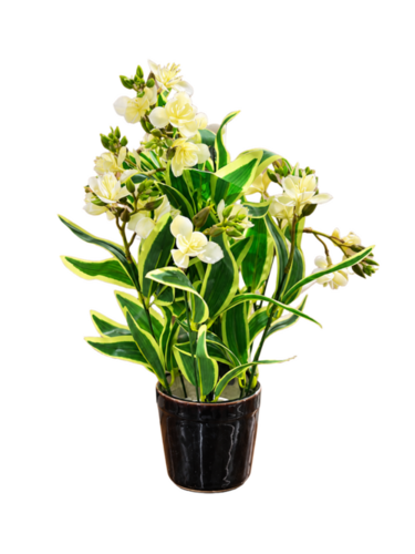 Artificial Curry Leaf Plant with Pot