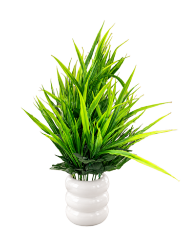 Artificial Plants