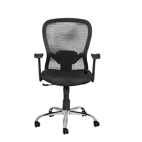 Low Back Executive Office Chair