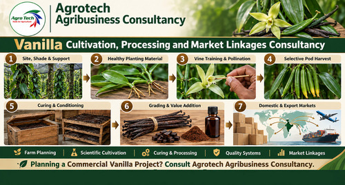 Vanilla Planifolia Cultivation and Processing Project Consultancy