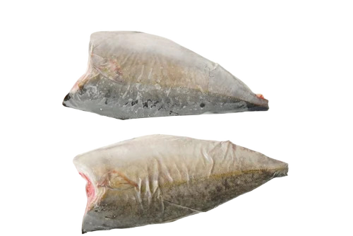 Frozen Amberjack Kampachi Fish Fillet