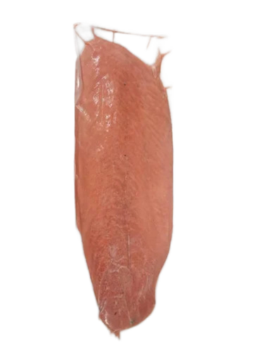 Frozen Salmon Fillet