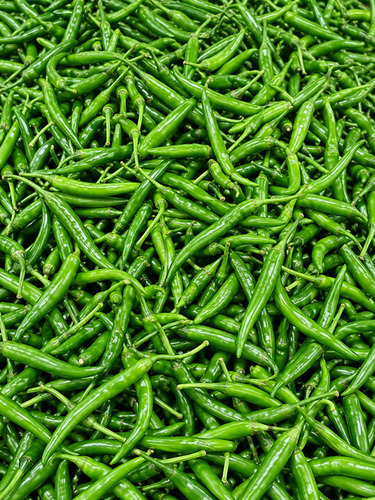 G4 Green Chilli - Cultivation Type: Common
