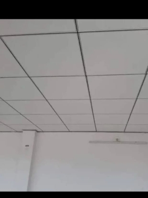 False Ceilings - Color: White