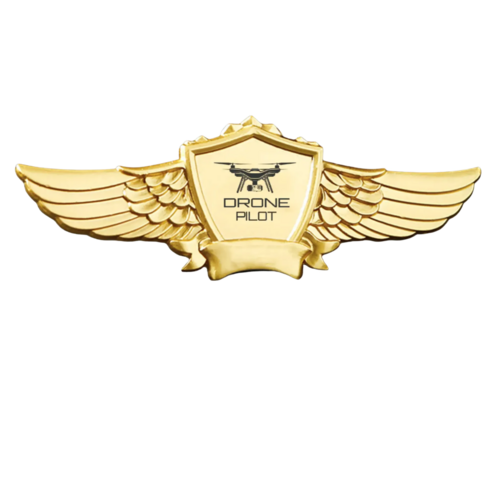 Acrylic Pilot Wings Pin Badge