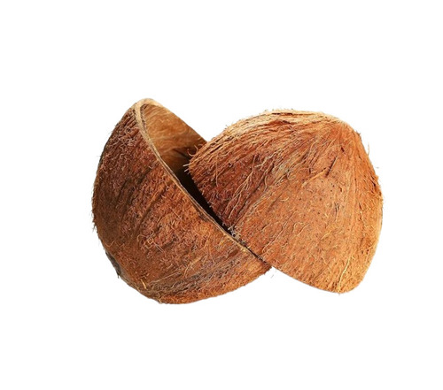 Coconut Shell
