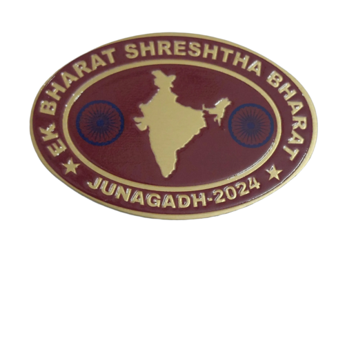 Ebsb Junagadh 2024 Ncc Camp Badge - Color: Red And Gold-Tone