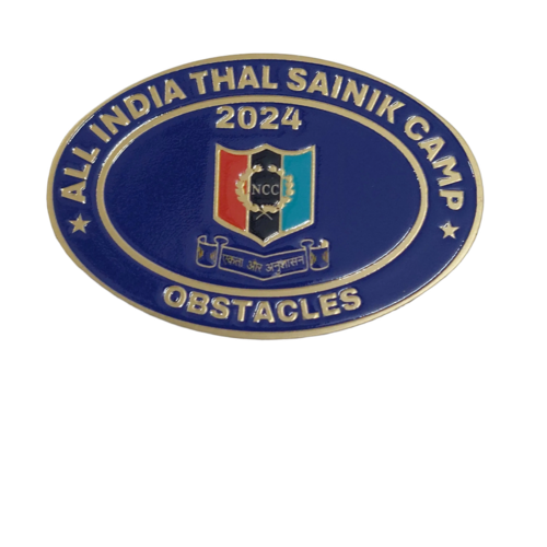 Ncc All India Thal Sainik Camp Obstacles 2024 Badge - Color: Blue And Gold-Tone