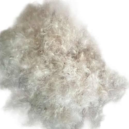 Pillow Feather