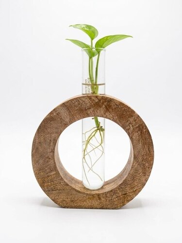 Round Wooden Test Tube Planter Vase - Color: Biege