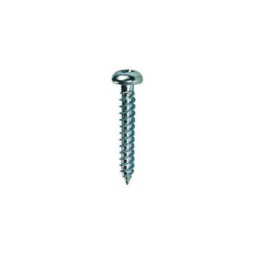 Stainless Steel Screws