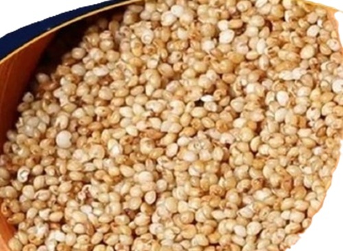 Kodo Millet