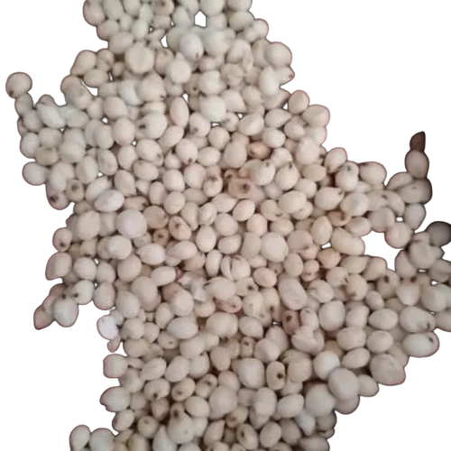 White Sorghum By Deepan Mills