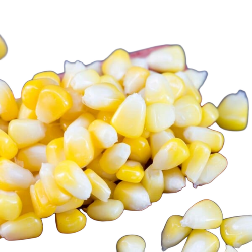 Corn Seeds