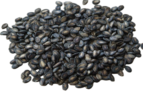 Watermelon Seeds