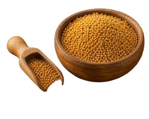 Yellow Mustard Seeds