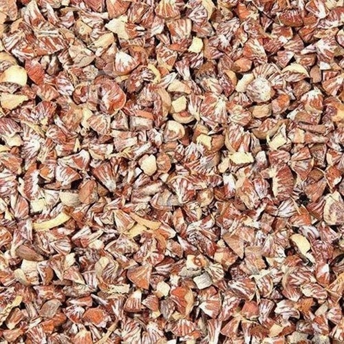 Betel Nuts - Oval Shape, Brown Color, Dried Style | Strong Nutty Woody Flavor, High Purity, Adulteration Free