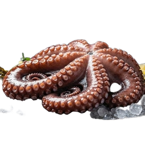 ऑक्टोपस