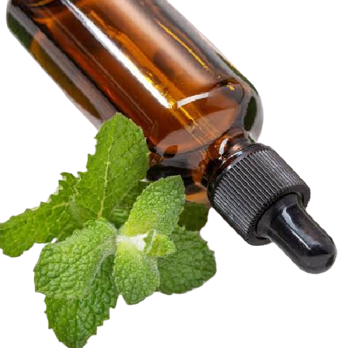 Cornmint Oil - Leaves Extracted Yellow Liquid, 2 Years Shelf Life | Natural Minty Aroma, 100% Purity, Secure Packaging