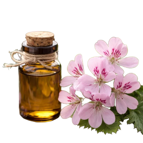 Geranium Essential Oil