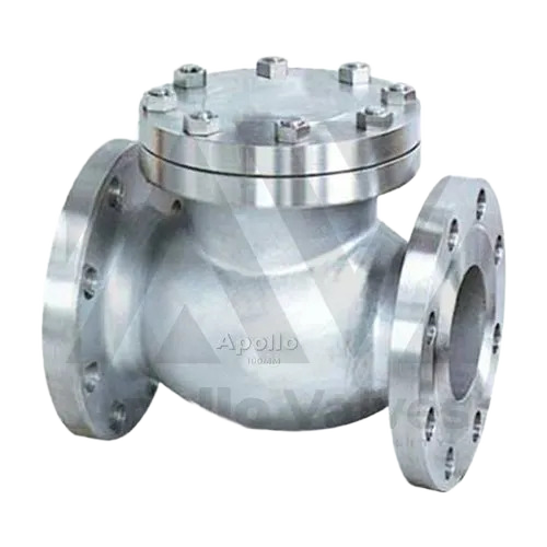Swing Type Check Valve