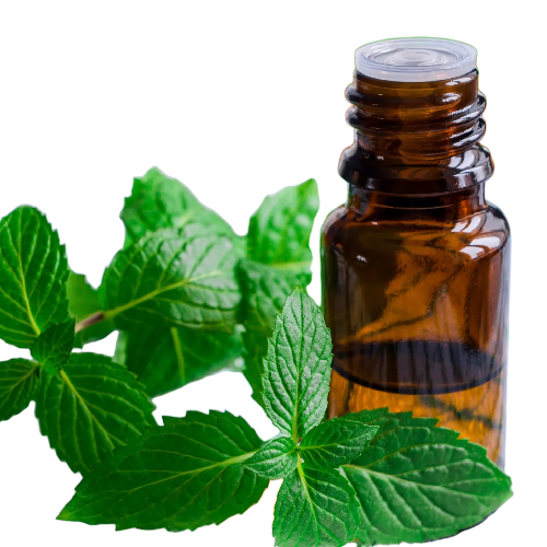 Pure Peppermint Oil