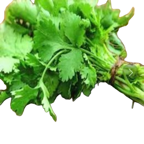 Coriander Leaves - Fresh Green, Raw | Aromatic Flavor, Cooking, Garnishing, Salads