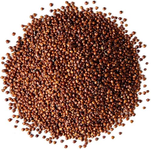 Red Quinoa Seeds