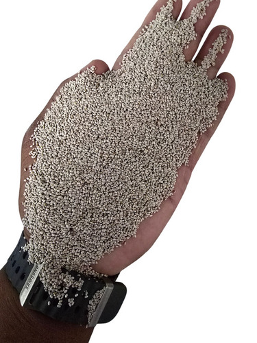 White Chia Seed