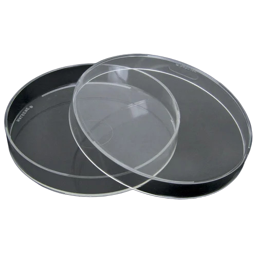 Petri Dish