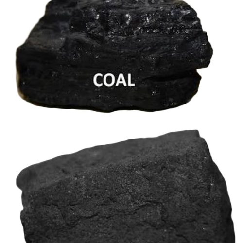 Cooking Coal