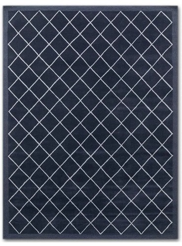 Blue White Tufted Mobern Carpet