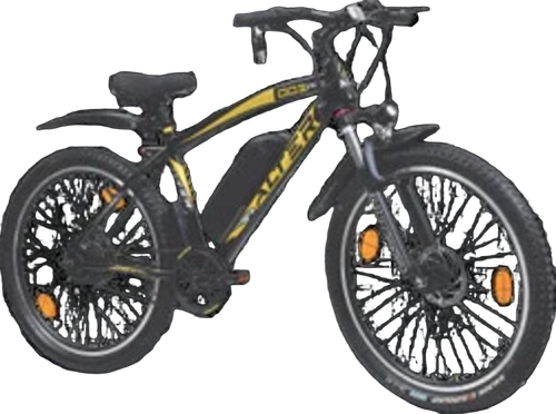 003 Pro Electric Cycle
