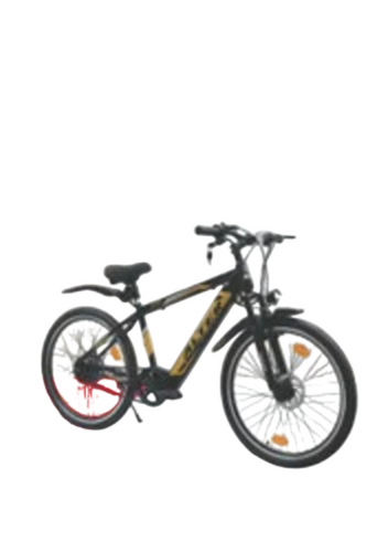 037 Cargo Electric Cycle