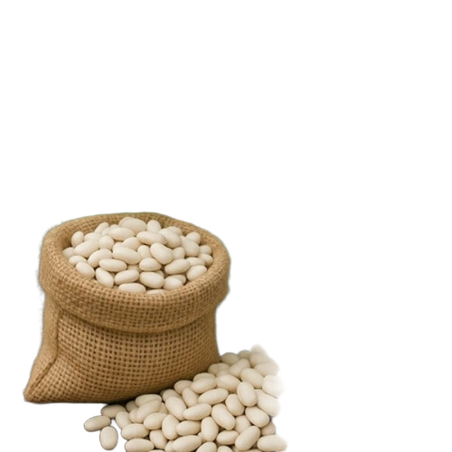 White Kidney Bean