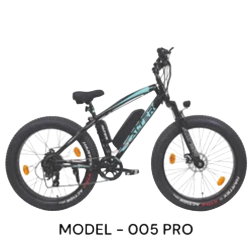 Electric Bicycle