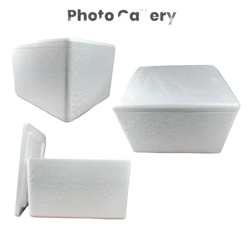 15l Ice Eps Thermocol Box