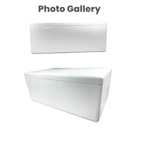 Rectangular Thermocol Ice Box