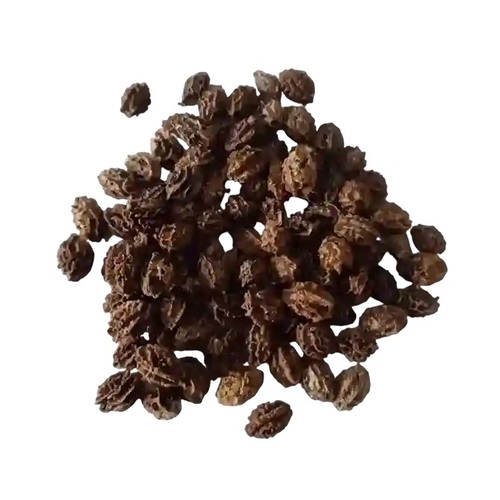 Red Lady F1 Hybrid Papaya Seeds