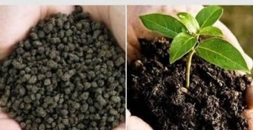 Agriculture Bio Fertilizer