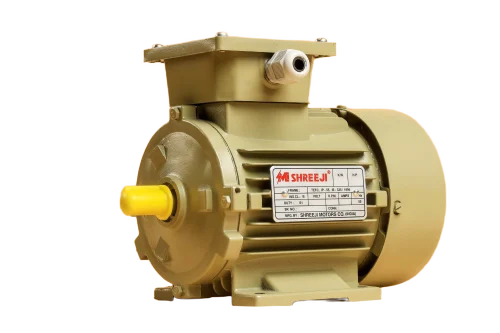 0.5 Hp Induction Motors